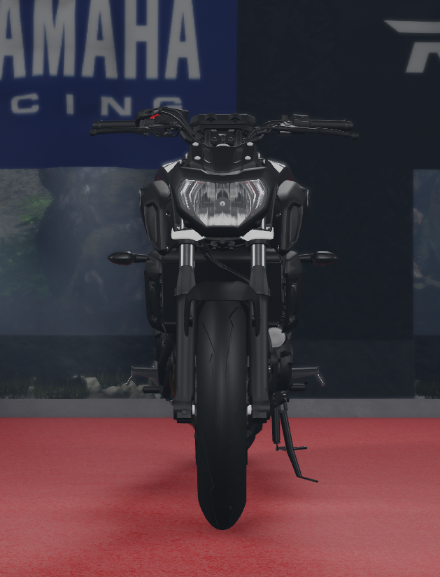 Raven Winglets for MT-07 (2014–2019)